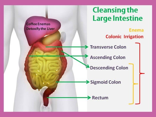 Colon Flush Machine and How It Works 156